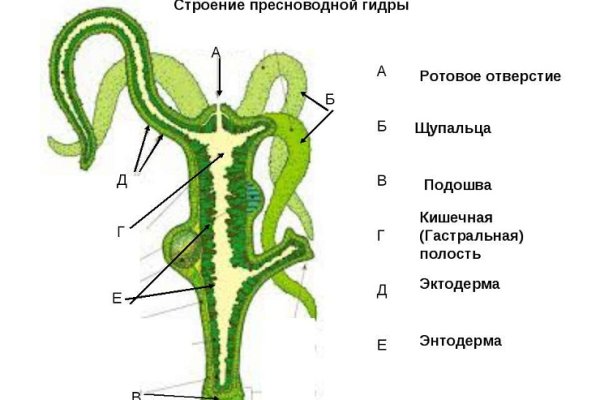 Kraken 13 at сайт